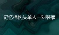 记忆棉枕头单人一对装家用颈椎专用护颈椎助睡眠男女学生宿舍枕芯